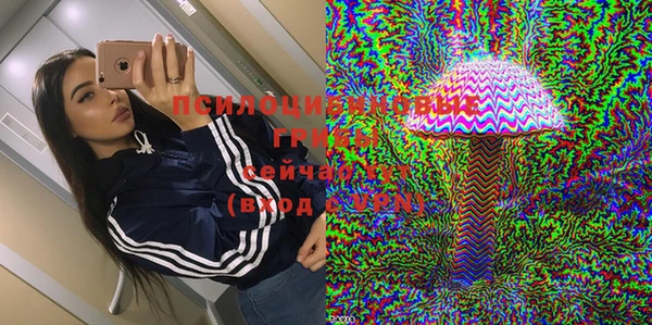 прущая мука Переславль-Залесский