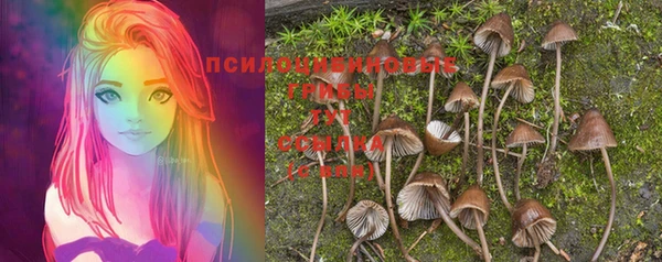 прущий лед Балахна