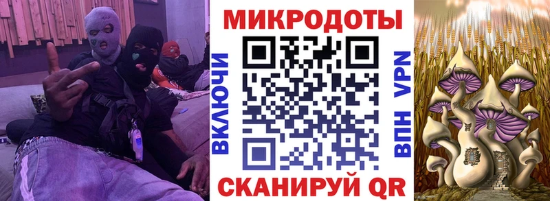 Галлюциногенные грибы Psilocybine cubensis Полярные Зори